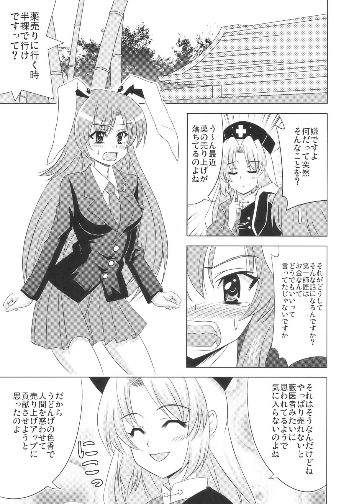 (C77) [Chihagura (Hachi, Chiaki)] Hime Otoshi (Touhou Project) page 13 full