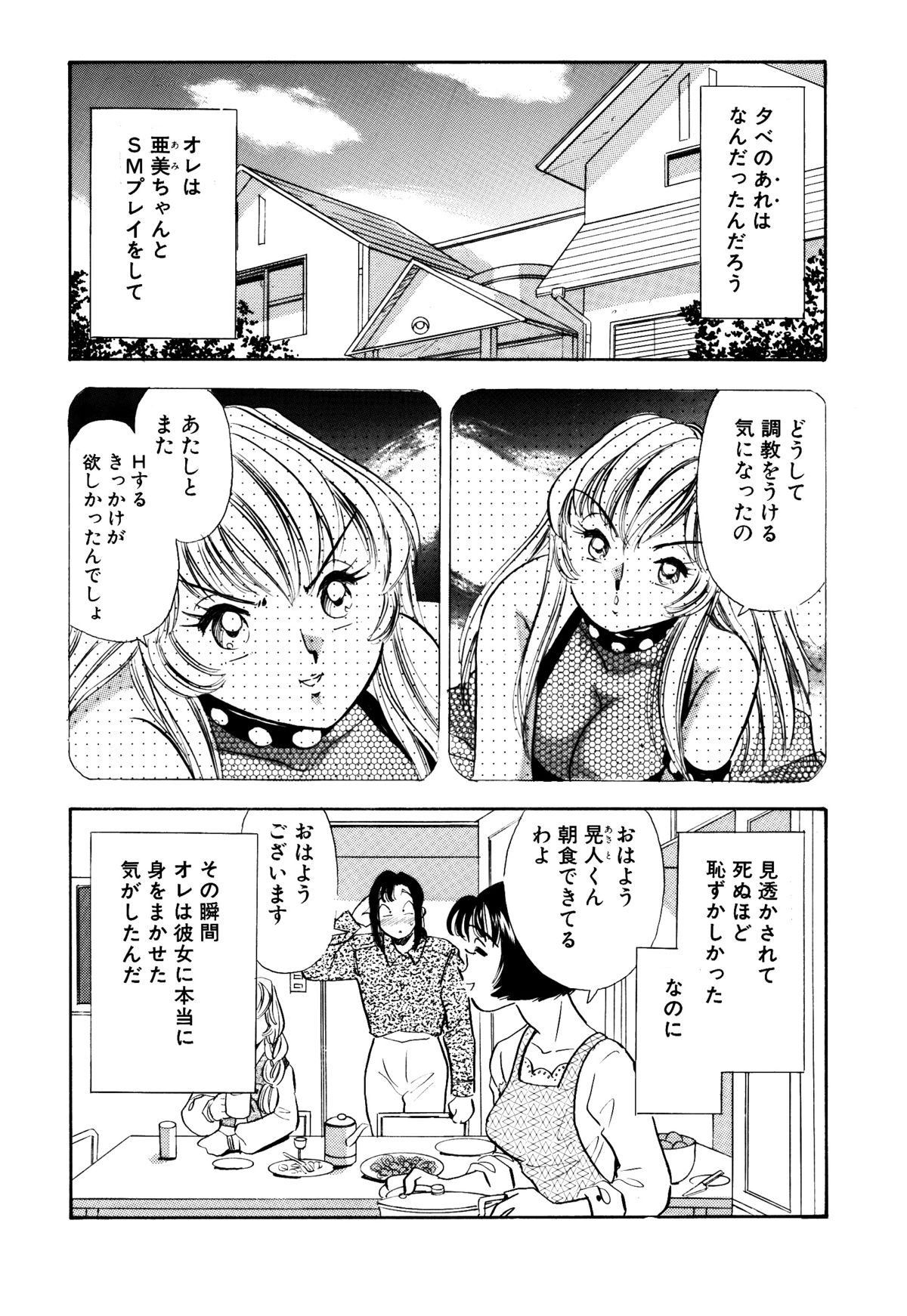 [Marumi Kikaku (Satomaru)] S&M Junkie 10 - Shame Play page 3 full