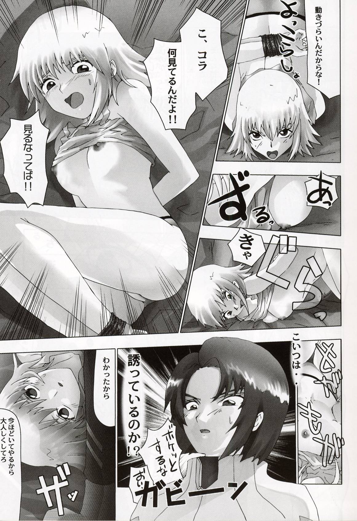 (C64) [Toluene Ittokan (Pierre Norano, Shinagawa Ham)] Ketsu Megaton Seed (Gundam Seed) page 8 full
