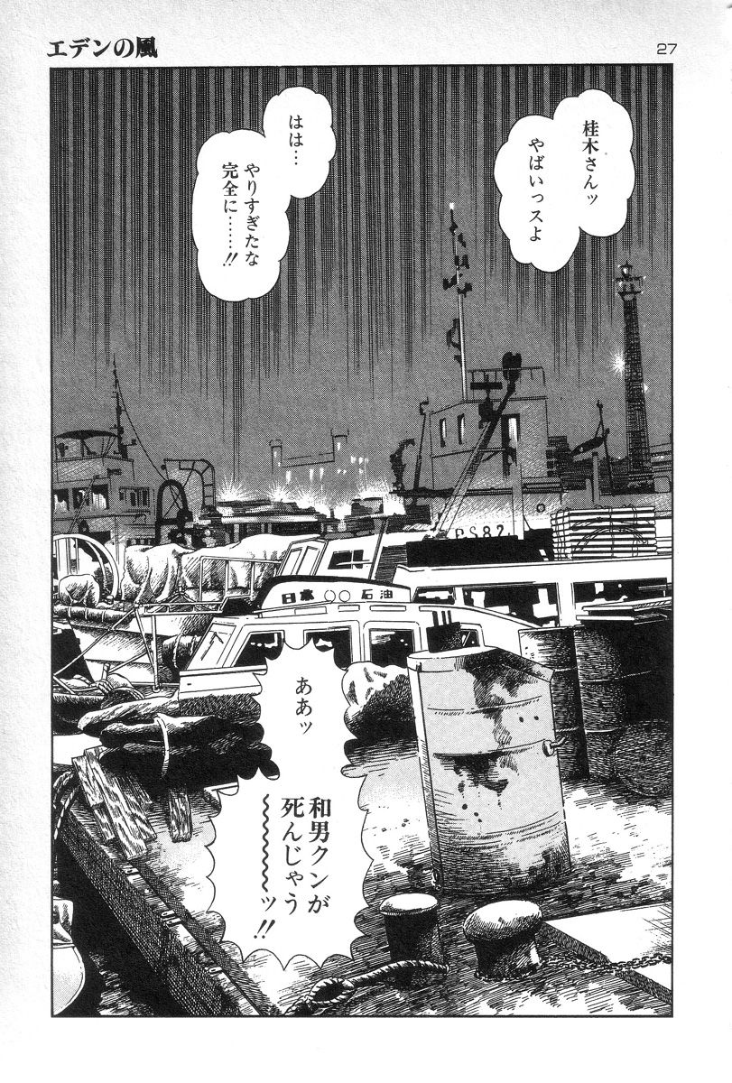 [Maeda Toshio] Eden no Kaze page 29 full