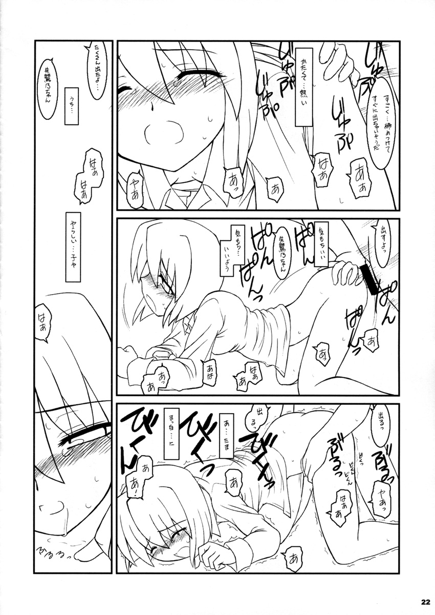 (C65)) [A.W.P.] Comic Materia Extra Nyannyan (Ukagaka) page 22 full