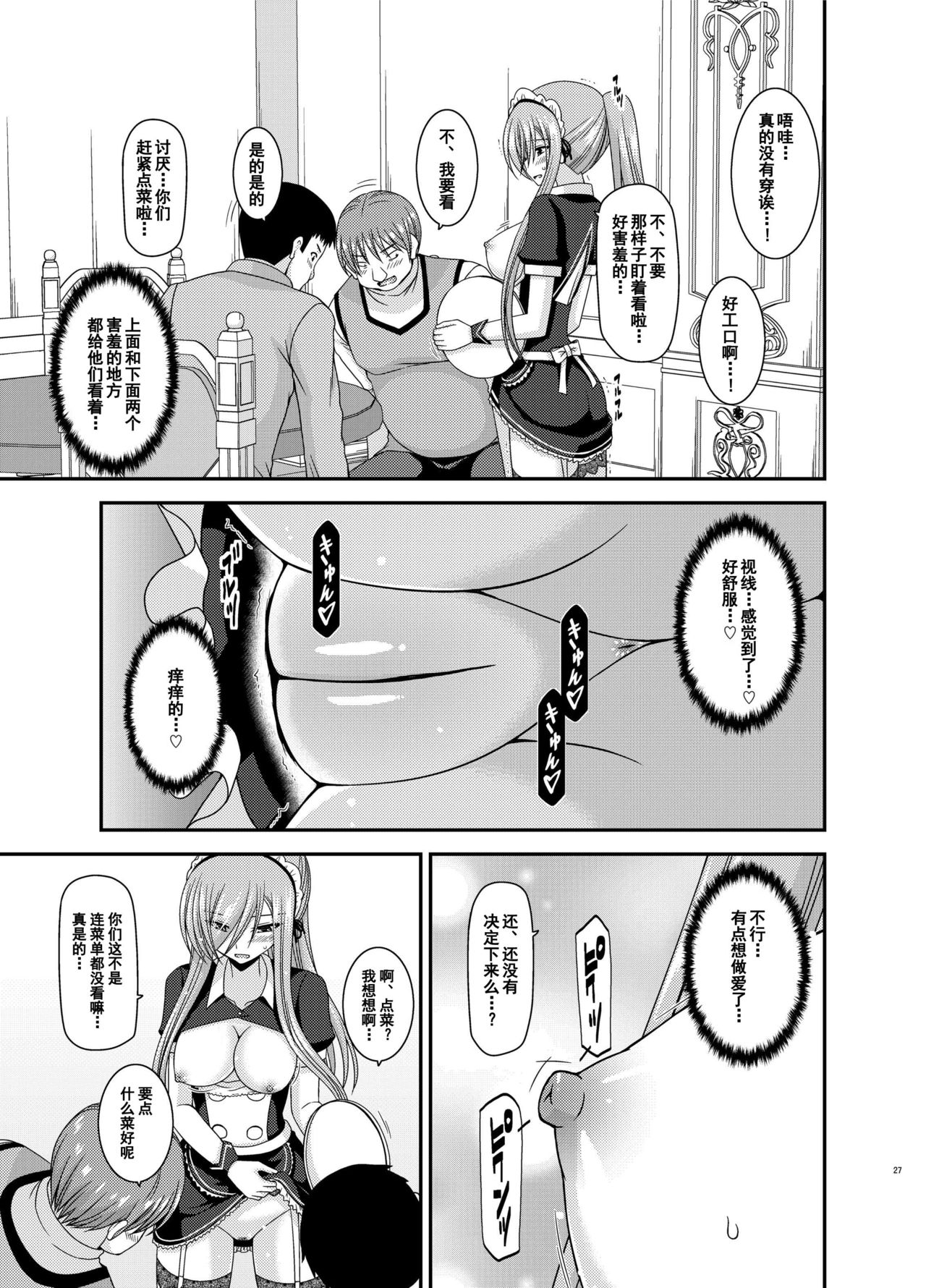 [valssu (Charu)] Melon ga Chou Shindou! R13 (Tales of the Abyss) [Chinese] [流星汉化] [Digital] page 26 full