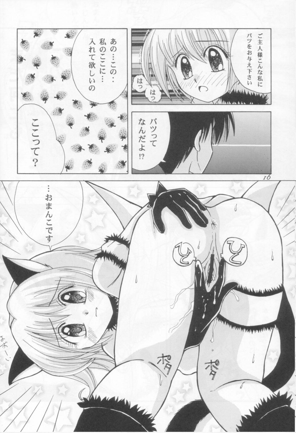 [Genki Honpo (Daifuku Keiji, Saranoki Chikara)] Tokyo Nekomusume (Tokyo Mew Mew) page 15 full