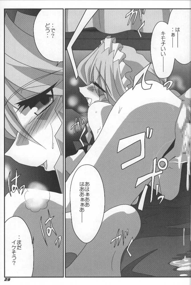 (SC34) [Kieyza cmp (Kieyza)] TOHO N+ (Touhou Project) page 30 full