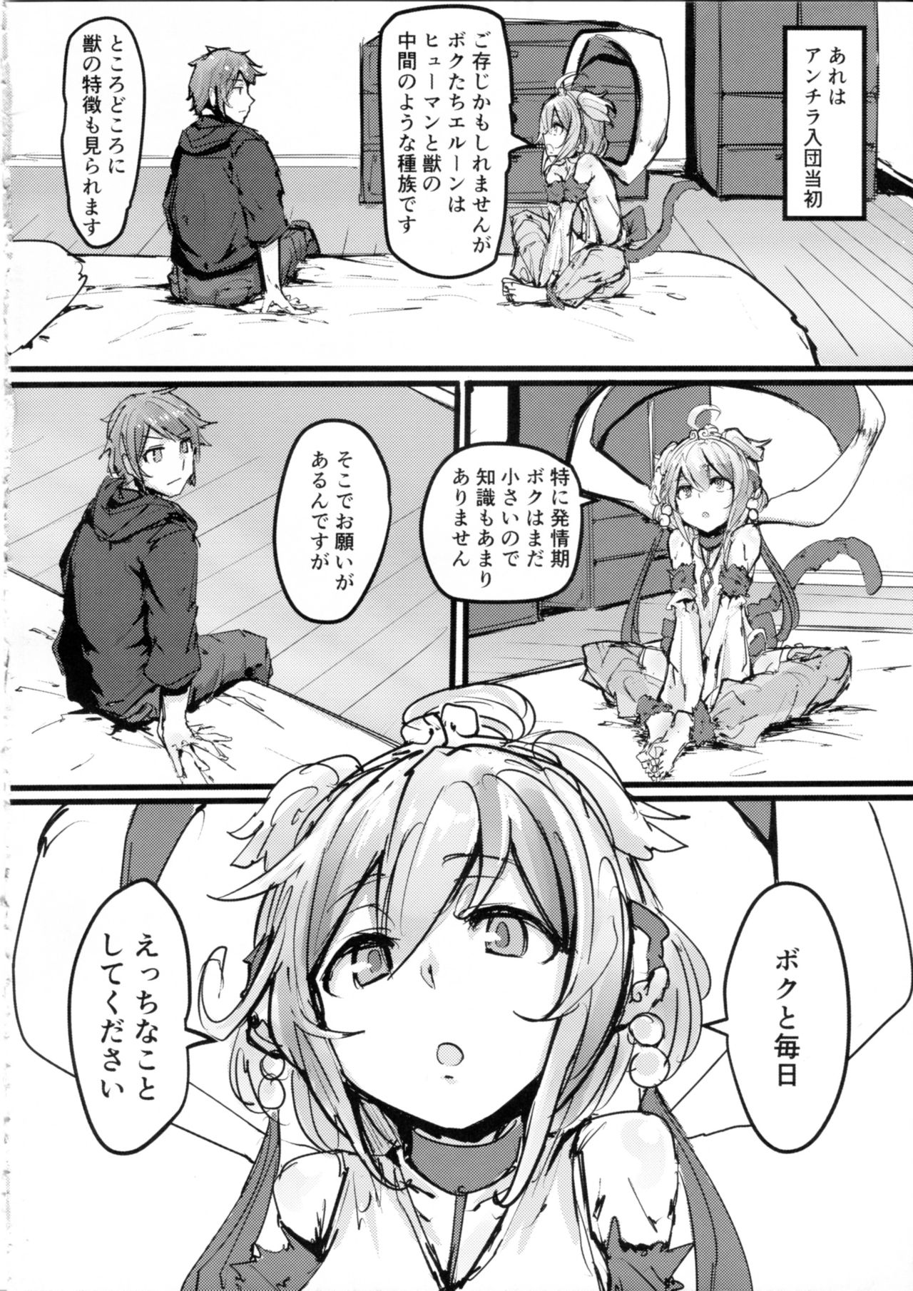 (C91) [K2 Manhole (P)] Andira no Kouyuuki (Granblue Fantasy) page 3 full