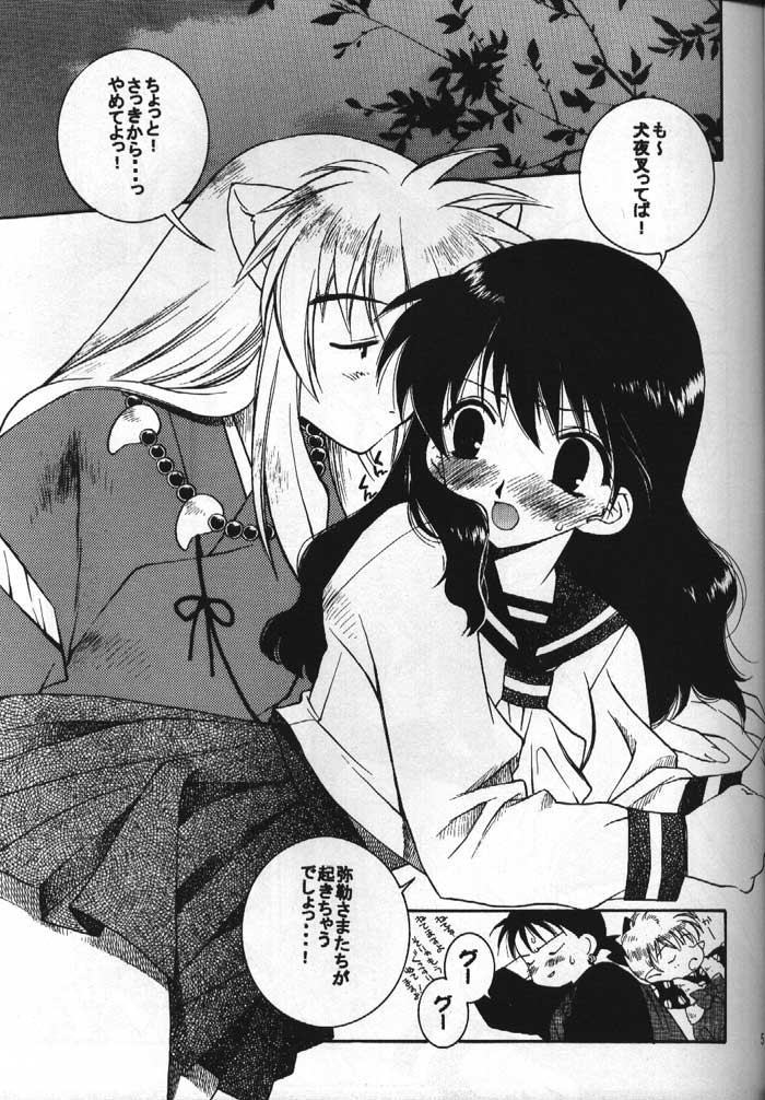 (C61) [Nekomarudou Honpo (Nekomaru)] Inuyasha Doku Hon (Sengoku Otogizoushi Inuyasha) page 4 full