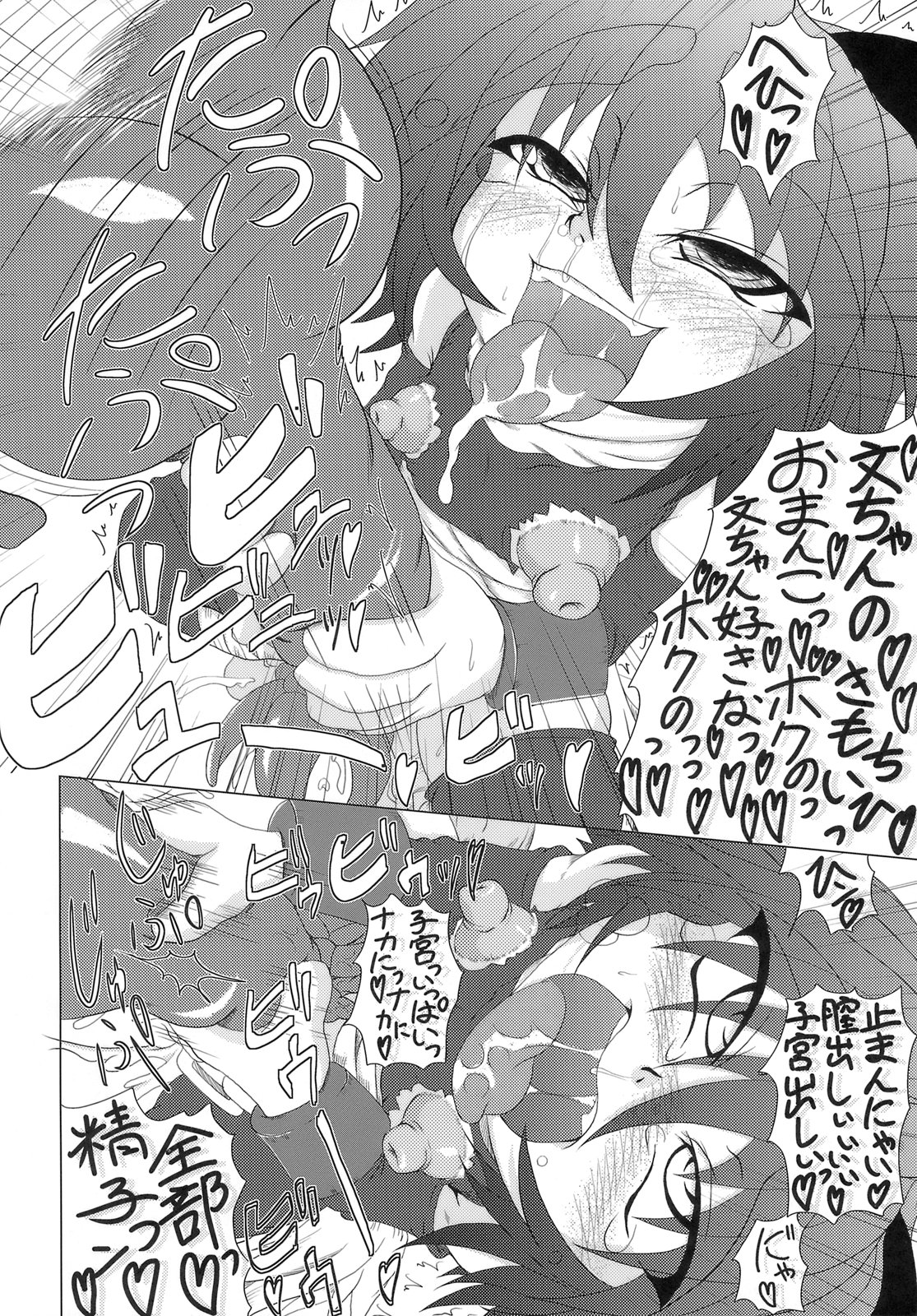 (C74) [STRATOS (Akan Tare)] Loud Voice! ~Chamomile~ (Ragnarok Online) page 25 full