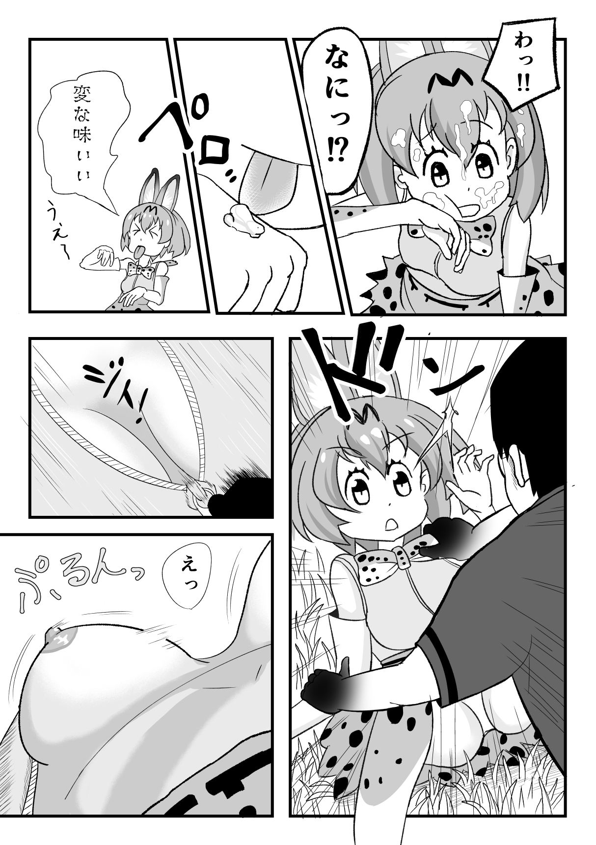 [SIKOSIKO NETWORK (Komuro)] Kemomimi Friends (Kemono Friends) page 12 full