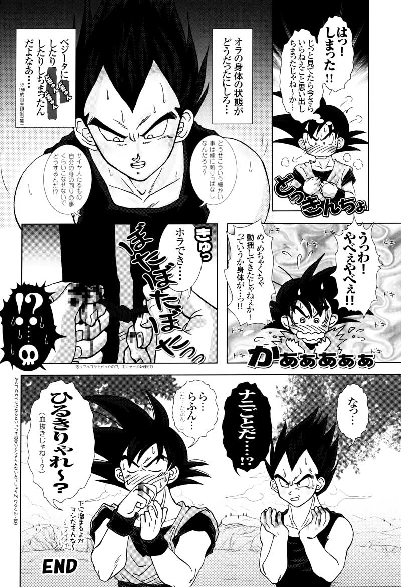 [GREFREE (ema)] Sairokua (Blaze, Voice, +A) (DRAGON BALL Z) page 22 full