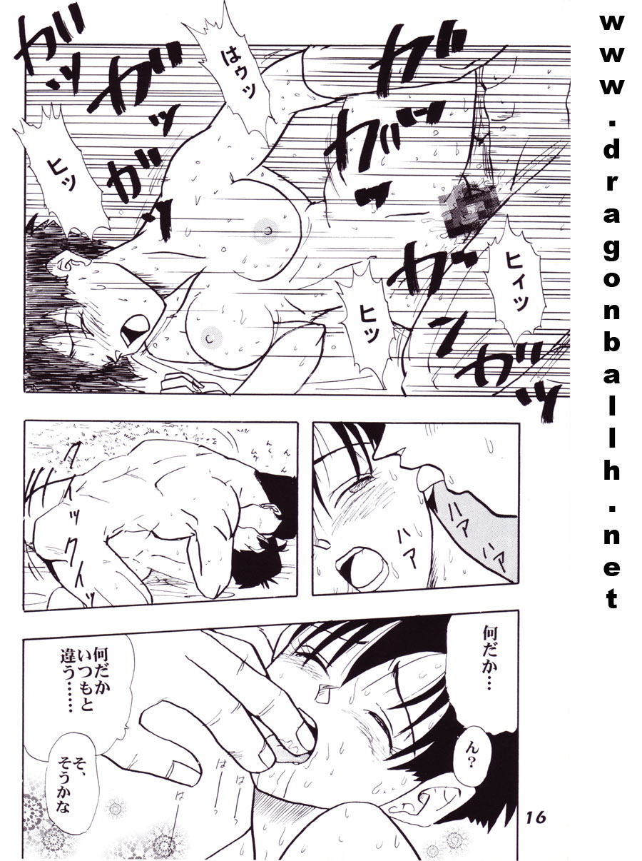 (C52) [Fusuma Goten (Shouji Hariko)] Irohani (Dragonball Z) page 16 full