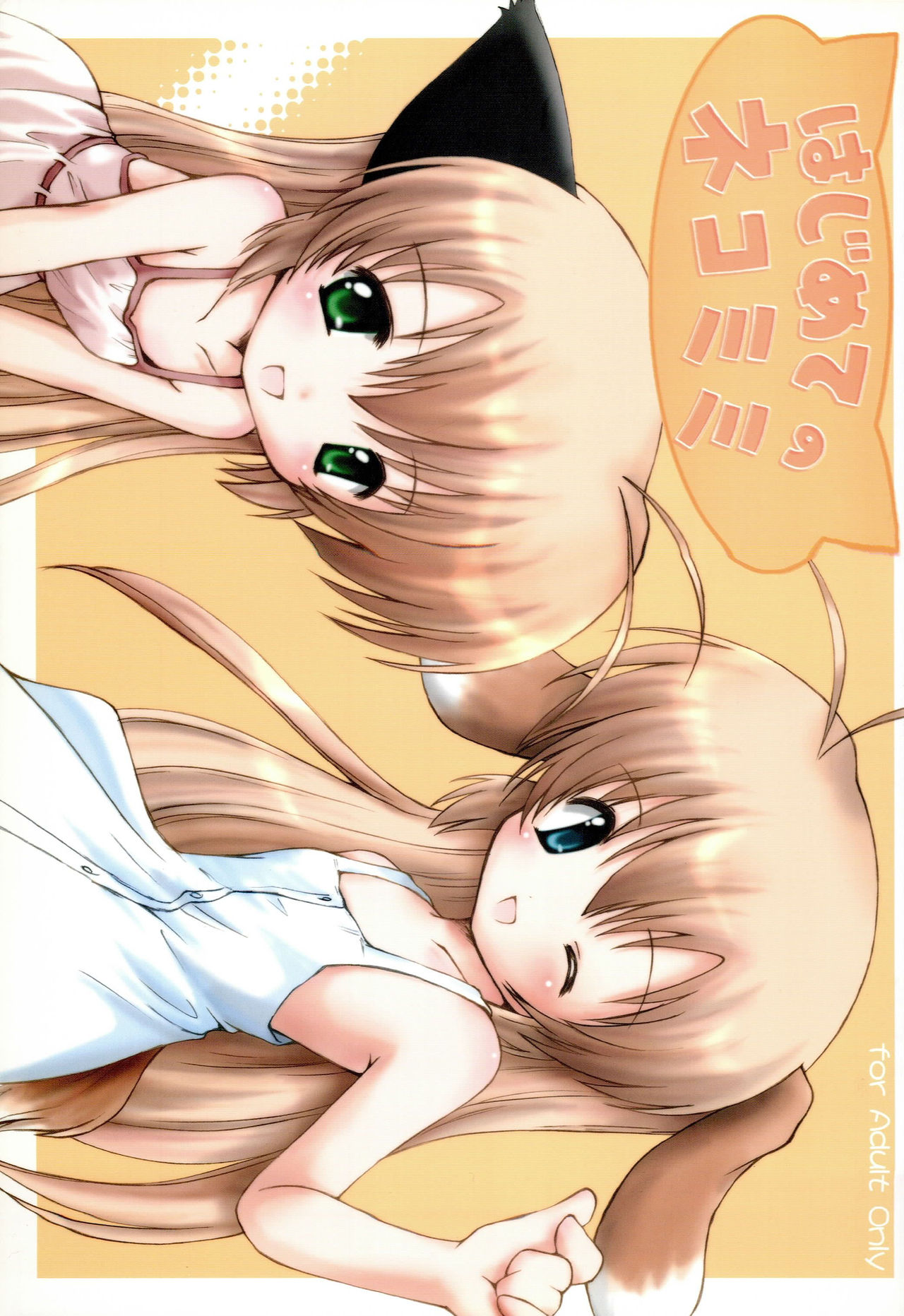 (C68) [Miso Nikomi Uran (Akiduki Konoe)] Hajimete no Nekomimi (Hajimete no Orusuban) page 1 full
