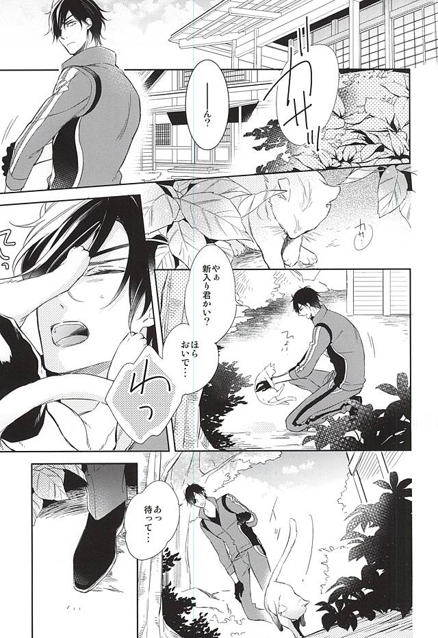 (C88) [Hakoniwa. (Mai)] Yume no Owari (Touken Ranbu) page 9 full