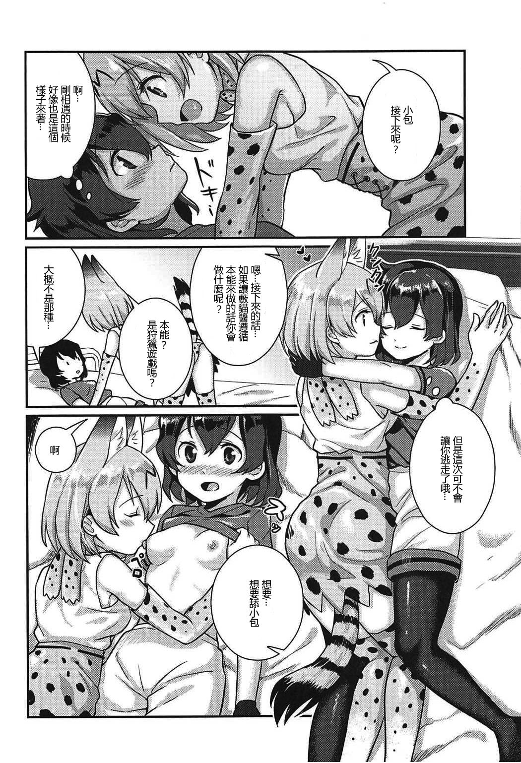 (C92) [Tendoushi (Fukuroumori)] Daisuki ni Kimatteru!! (Kemono Friends) [Chinese] [沒有漢化] page 7 full