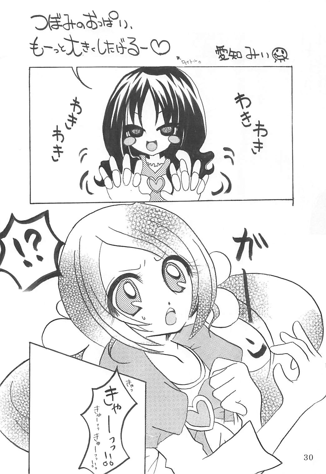 (C78) [Little★Cosmos (Ayano Rumi)] Hazunde Catch! (HeartCatch PreCure!) page 29 full