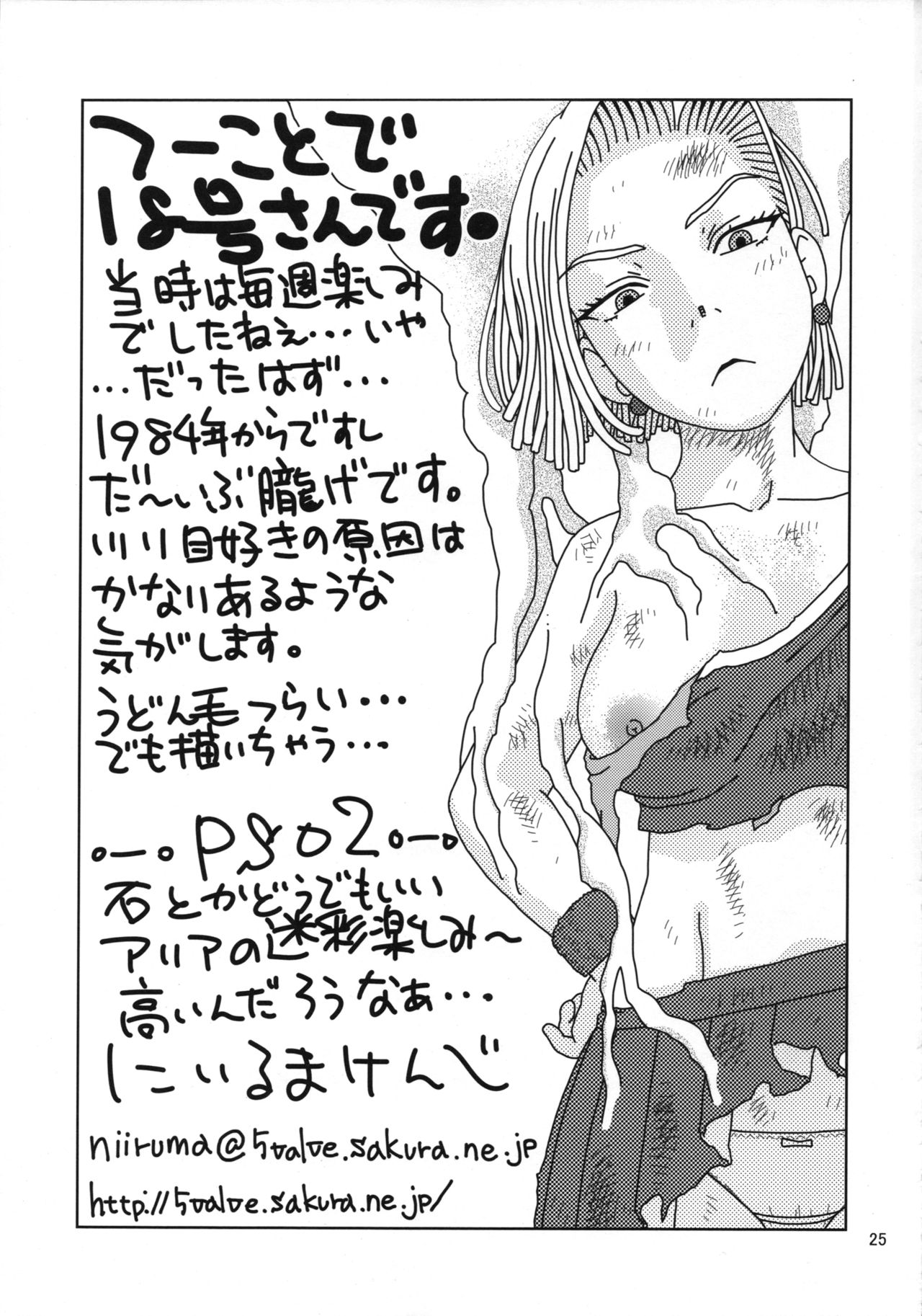 (C89) [Studio Wallaby (Niiruma Kenji)] 18-gou to Oil Massage de Seikou (Dragon Ball Z) page 24 full