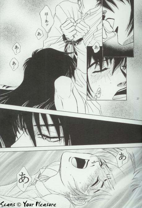 (C64) [Kita-Kasukabe Rohjinkai (Moto-ho)] Ja! Äundessen. 3 (Hellsing) page 26 full