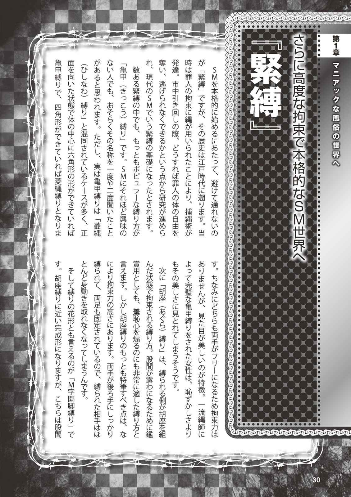 アブノーマル風俗入門 ラブドール風俗から、1000万円の風俗嬢まで page 32 full