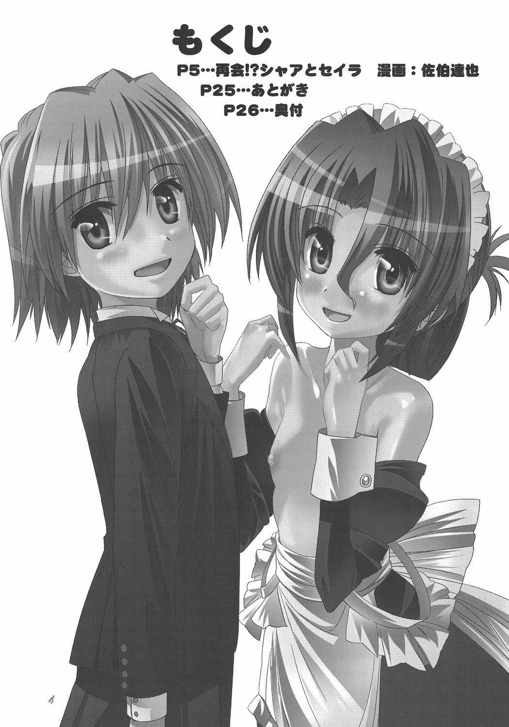 [Byousatsu Tanukidan (Saeki Tatsuya)] Saikai!? Shaa to Seira (Hayate no Gotoku!) page 3 full
