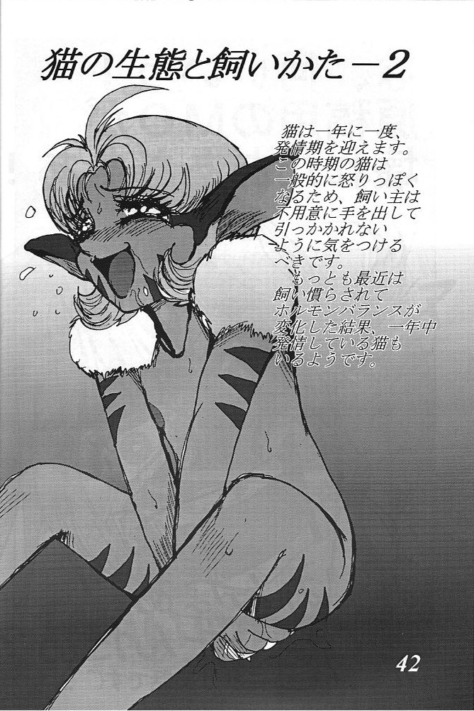 [G-TWO UNIT Reika-dou (Baron Mori)] MOVA FILE 3 - Hitomi! Diamond!! (The Vision of Escaflowne) page 41 full