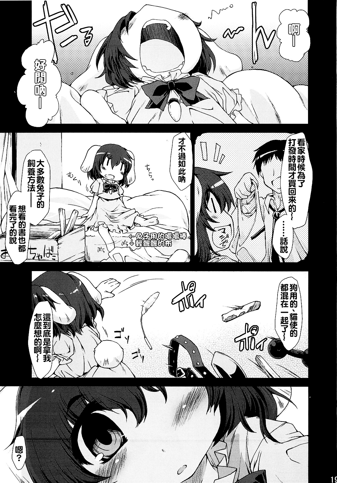 (C79) [IncluDe (Foolest)] ○○sanchi no Shirousagi (Touhou Project) [Chinese] [oo君個人漢化] page 19 full