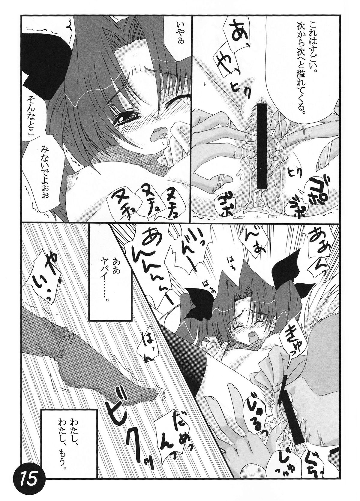 (SC25) [CS205 (Kineya Emuko)] CATHARSIS (Fate/stay night) page 13 full