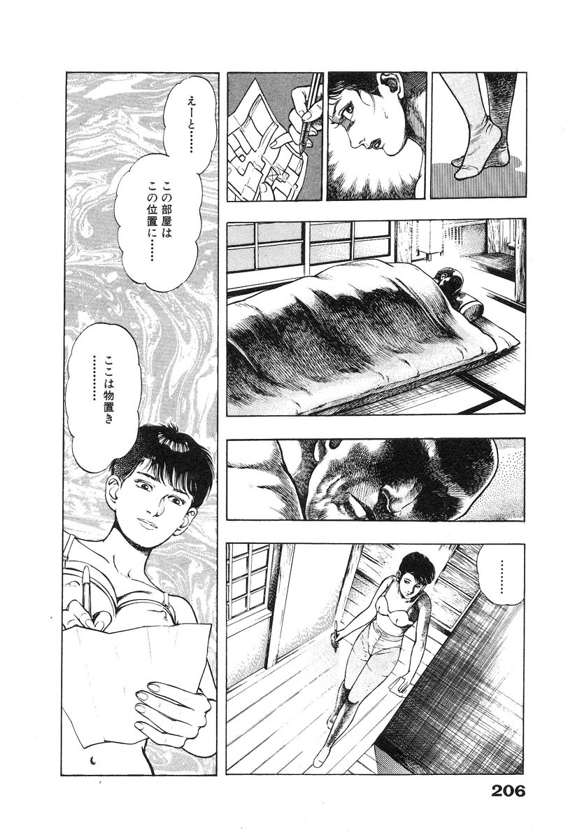 [Maeda Toshio] Ryakudatsu Toshi 1 page 211 full