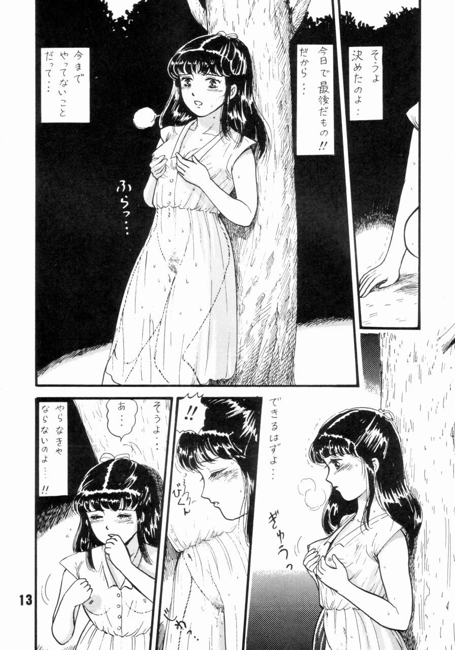 (C43) [THE GARDEN (Itou Masaya)] Natsu no Yoru wa Mitabi Hohoemu page 12 full