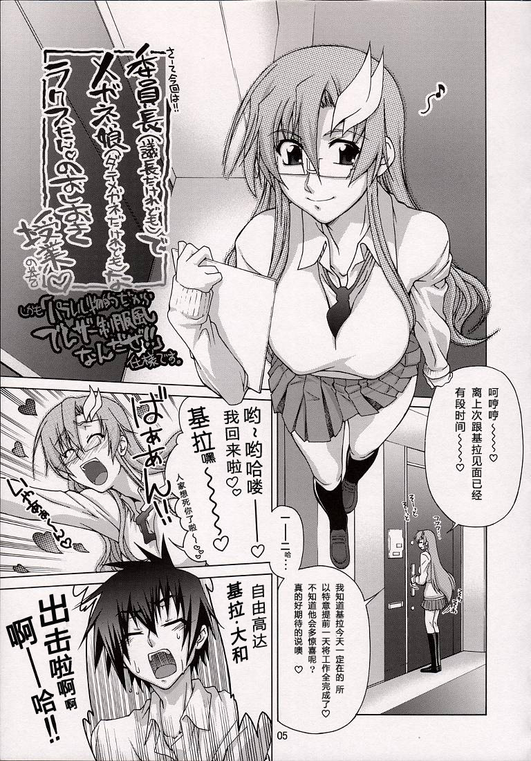 (C74) [GOLD RUSH (Suzuki Address)] A Diva of Healing V (Gundam SEED DESTINY) [Chinese] [graviton个人汉化] page 5 full