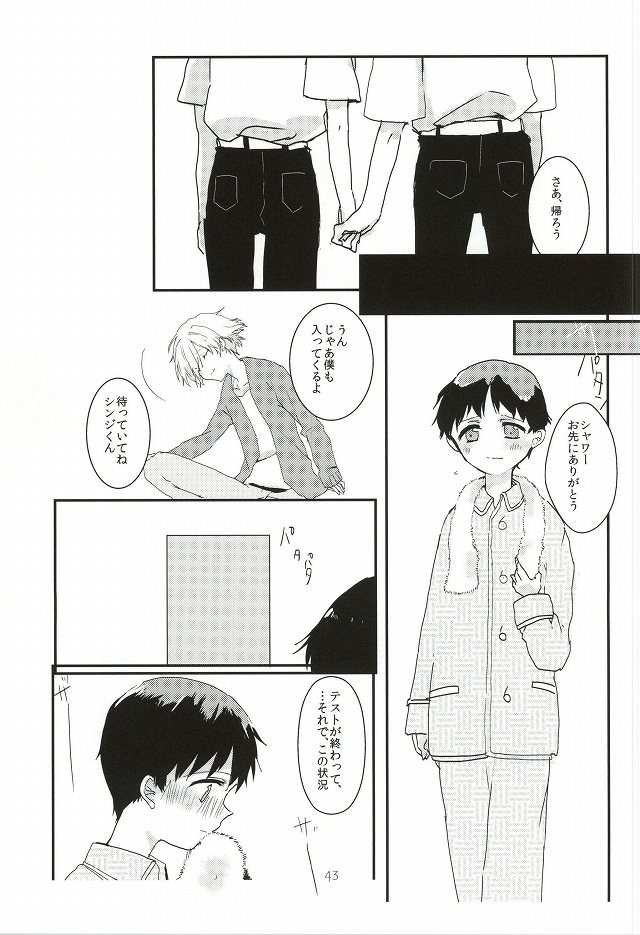 (Kimi to no Rendan 6) [obake (Sakuma)] Once Swan (Neon Genesis Evangelion) page 44 full