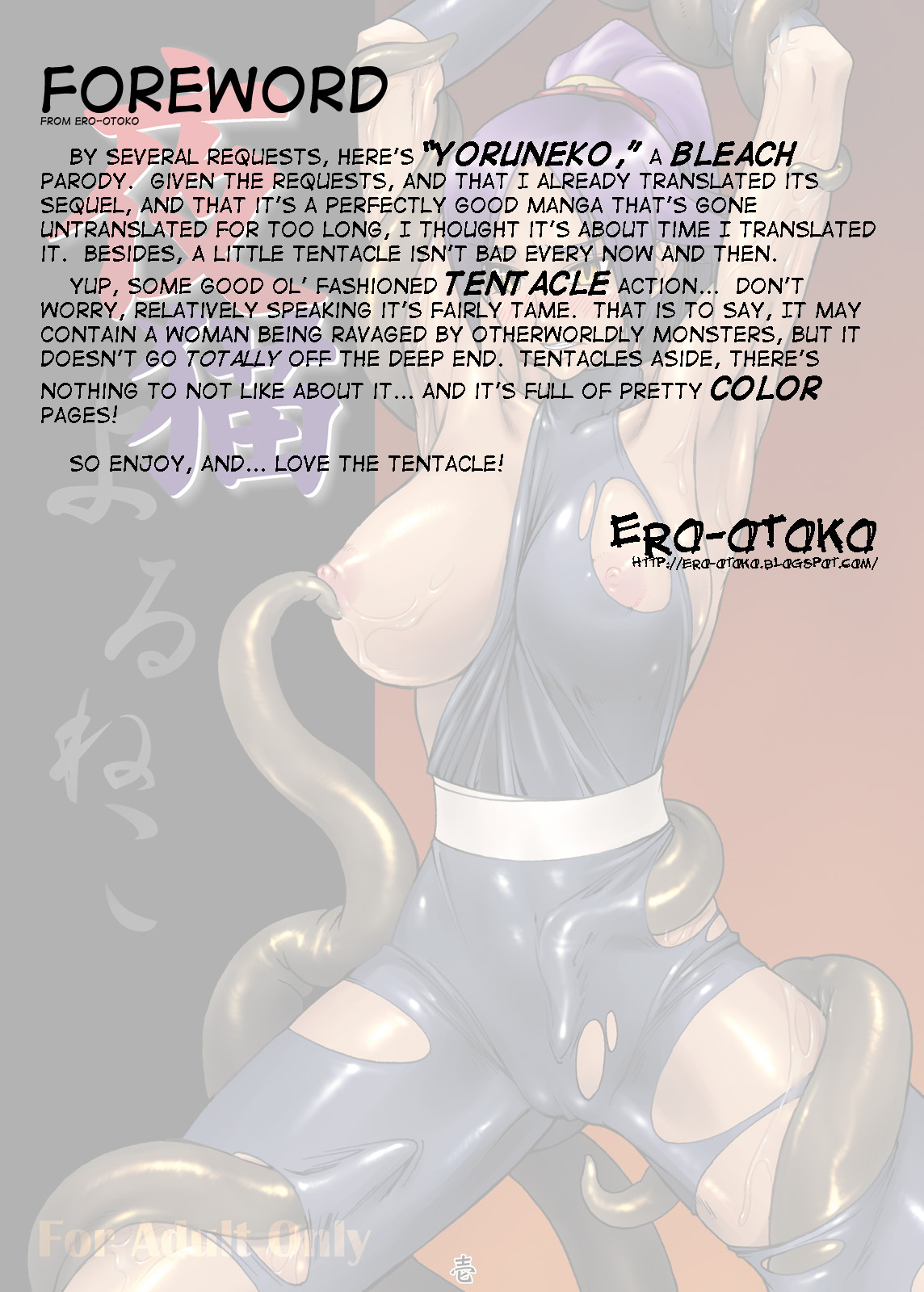 (Comic Castle 2005) [Nagaredamaya (BANG-YOU)] Yoruneko (Bleach) [English] page 2 full