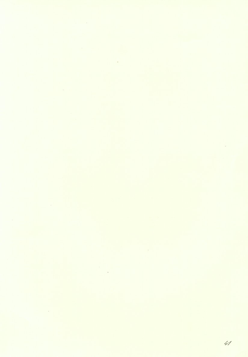 [INKPOT (Various)] ALL FOR LOVE (Final Fantasy Tactics) page 41 full