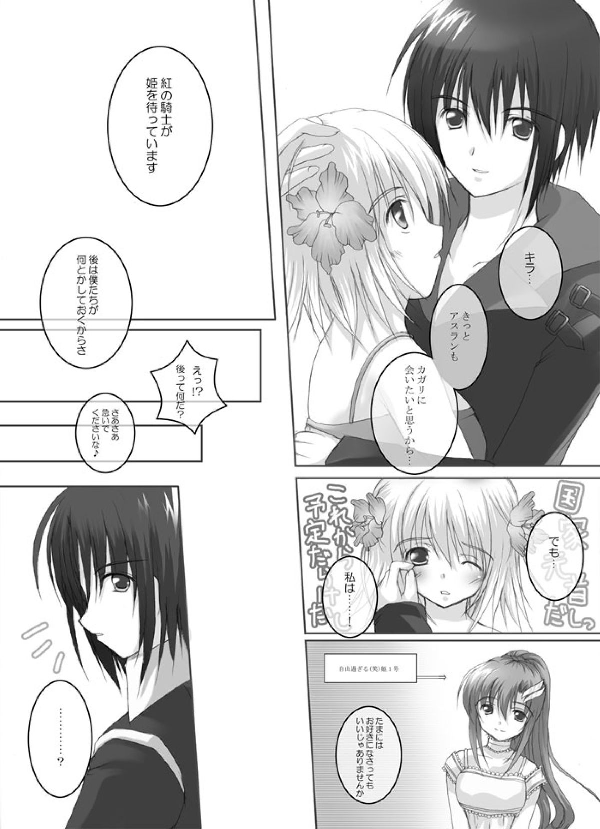 [Hanakairou]  Hanakairo Nijisousaku Comics - Dai 2-kan “Hina Kore Hina Kore 3 Gappei-gou”  (GUNDAM SEED DESTINY) [Digital] page 13 full