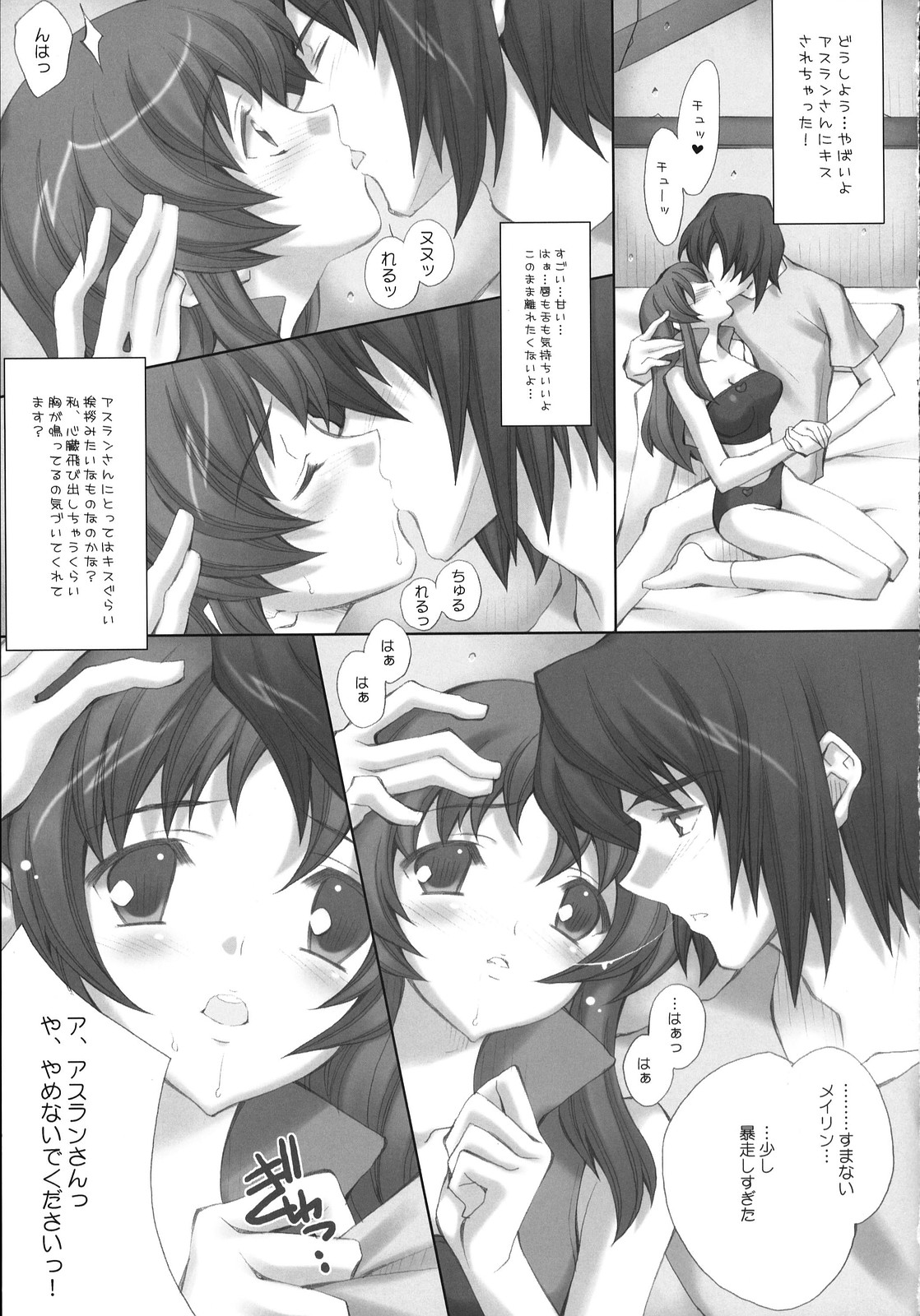 (C72) [LiZ (Satomi Hinako)] ADAM'S APPLE (Gundam SEED DESTINY) page 12 full