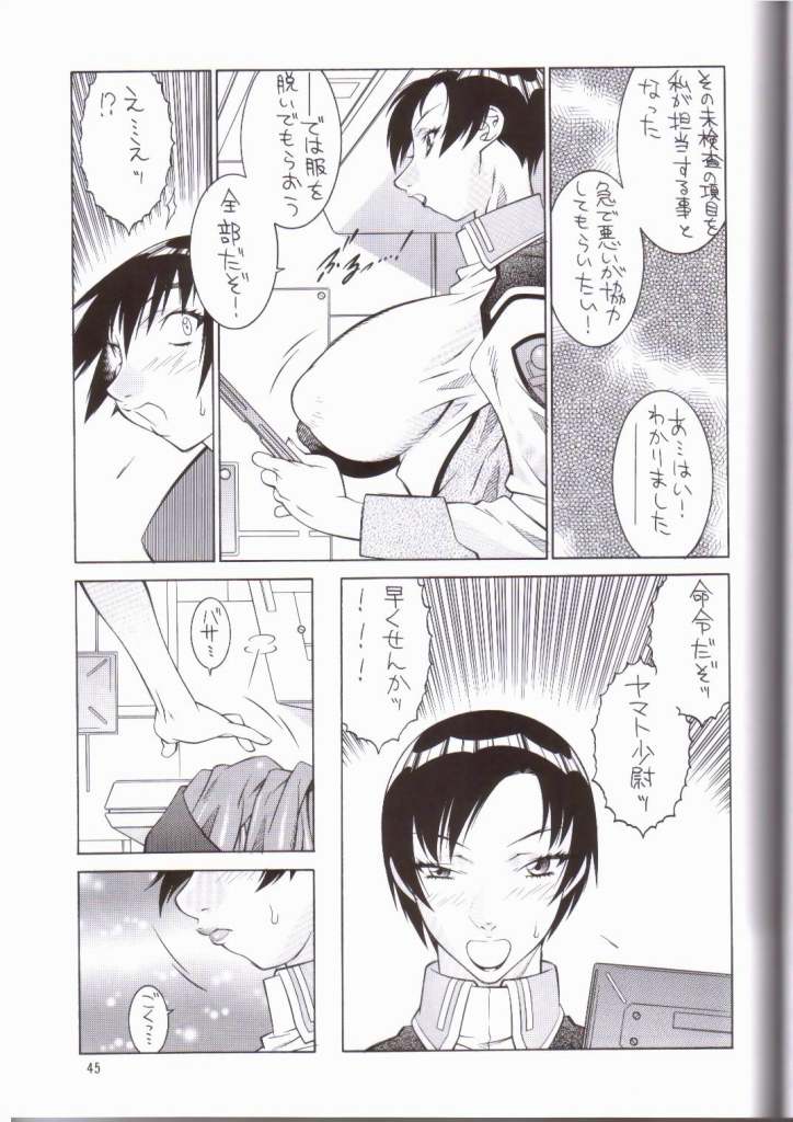 (C64) [ALPS (Various)] NEXT Climax Magazine 14 (Kidou Senshi Gundam SEED) page 41 full