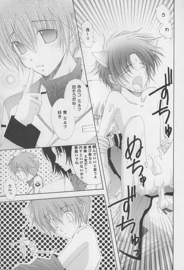 (C68) [Mutsuharu (Kagami Haruki)] Nekomimi Zouryouchuu (Gundam SEED DESTINY) [Incomplete] page 30 full