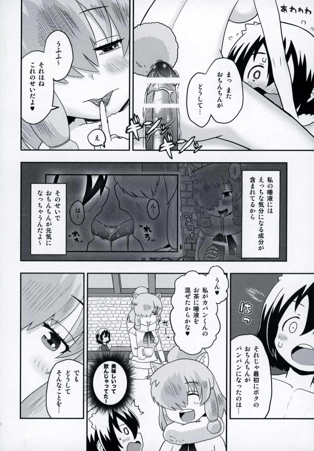 (Puniket 35) [ACID CLUB (nagare)] JapariCafe de Gokyuukei (Kemono Friends) page 13 full