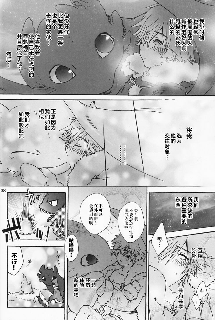 [Konna Tokoro no Kinniku Made Kitaeru Nante... (Sugoi Kinniku)] BEST PARTNER 1+2 (How to Train Your Dragon) [Chinese] [新桥月白日语社] page 38 full