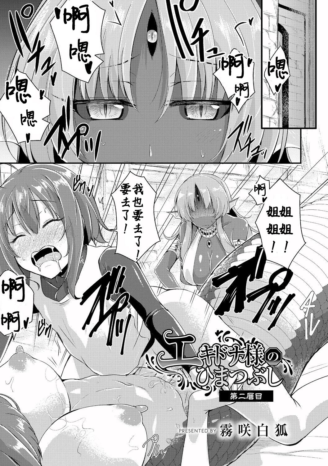 [Kirisaki Byakko] Echidna-sama no Himatsubushi Dai Ni Soume [Chinese] [肉包汉化组] page 4 full