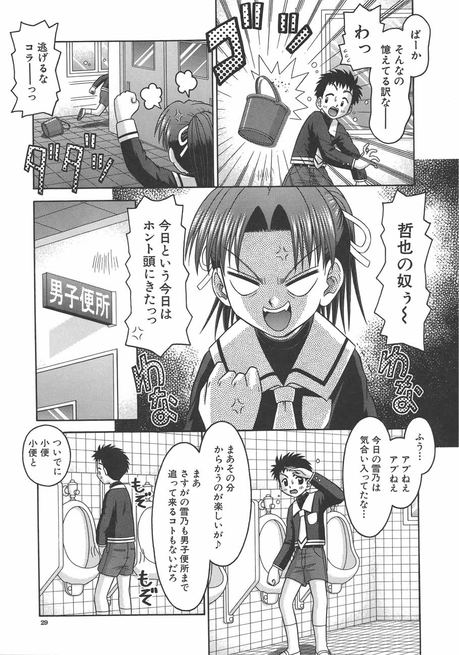[Tomohara Michiya] Amai Tsubomi page 30 full