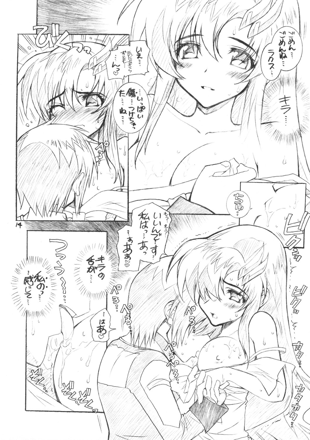 (C69) [WILD KINGDOM (Sensouji Kinoto)] From A to Z (Gundam SEED DESTINY) page 13 full