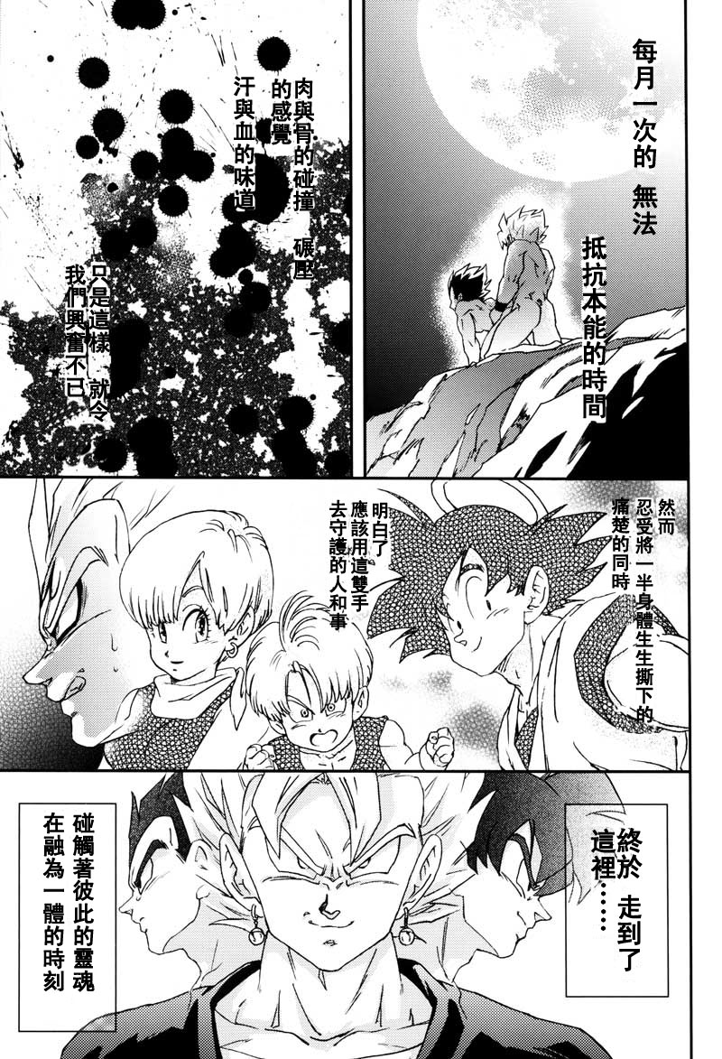 [Dokugunryu (Komakawa Rimi)] MONSTRUO (Dragon Ball Z) [Chinese] page 27 full