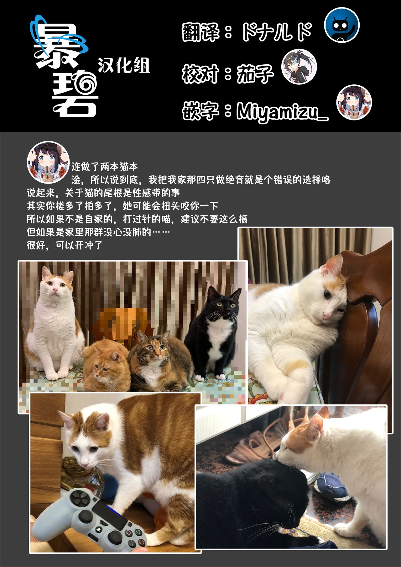 (C97) [Juicy Hassaku (Mafuyu HEMP)] UR Neko-chans Life | UR小猫咪们的日常生活 [Chinese] [暴碧汉化组] page 24 full