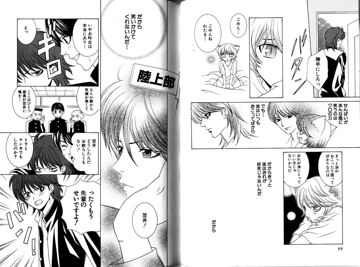 Akana Meiko - Nekokan page 35 full