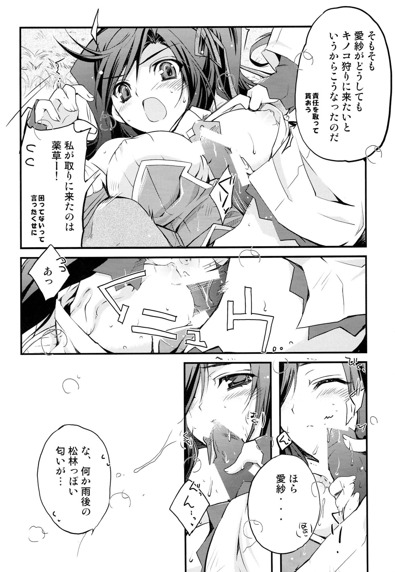 (C77) [Przm Star (Kamishiro Midorimaru, QuanXing)] Seika Ryougen (Koihime Musou) page 11 full