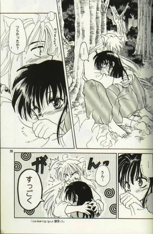 [Totsuzen Kikakutou] Aidaro!? Ai (Inuyasha) page 19 full