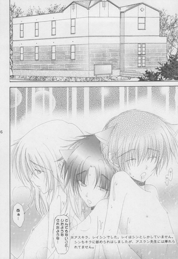 (C68) [Mutsuharu (Kagami Haruki)] Nekomimi Zouryouchuu (Gundam SEED DESTINY) [Incomplete] page 33 full