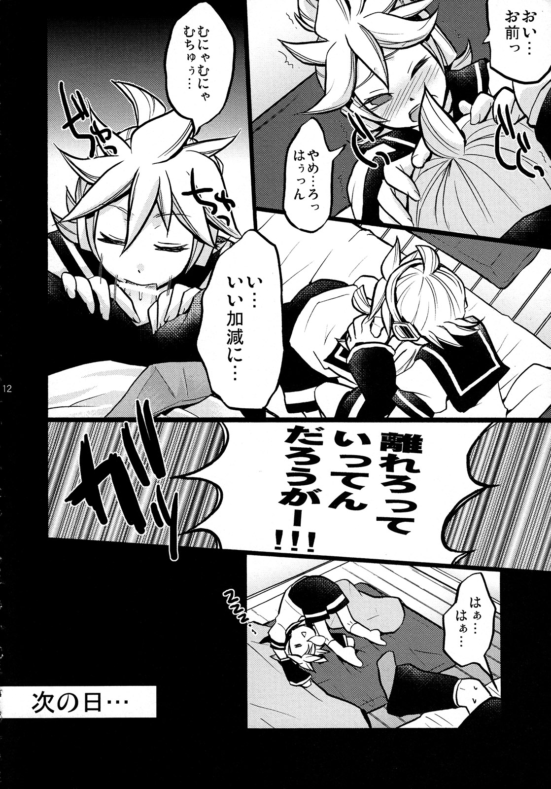 (C78) [Yomosugara (Yomogi Ringo)] Gokinjo Meiwaku! (VOCALOID) page 12 full