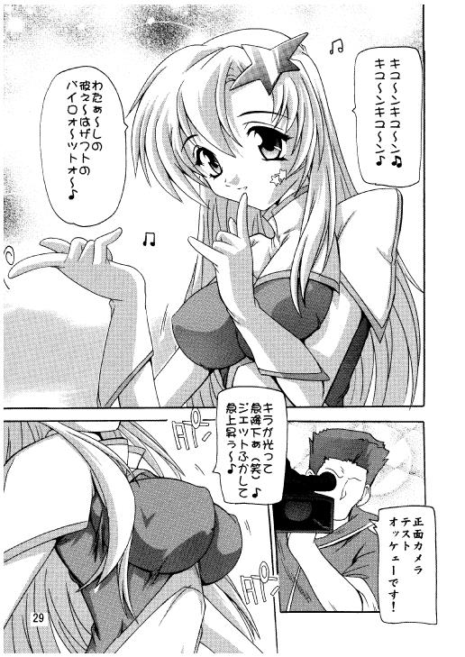 (C70) [Studio Q (Natsuka Q-Ya)] Lacus Destiny - Soushuuhen 2 (Gundam Seed Destiny) page 26 full
