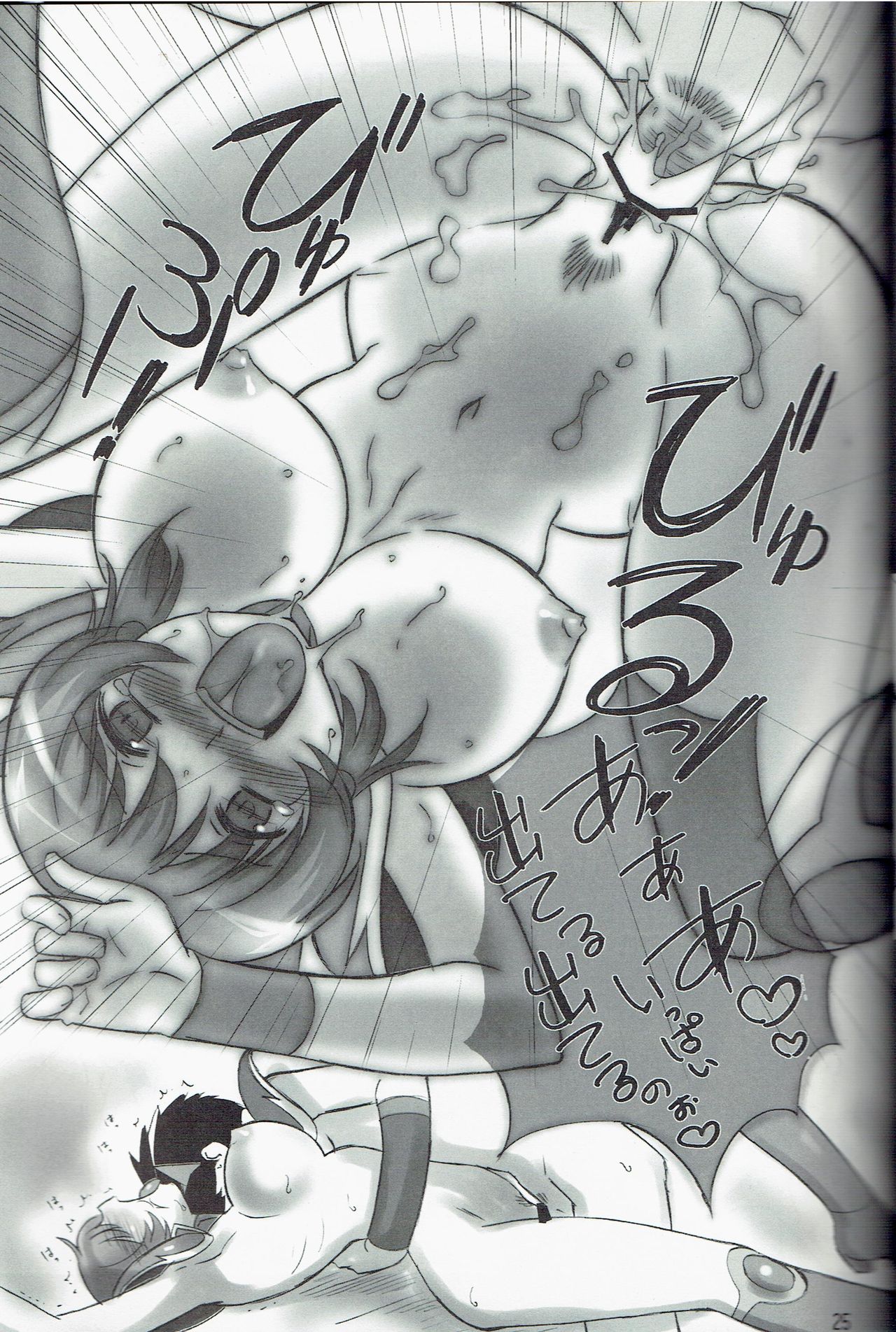 (C79) [Dark RoseEX-S (Hirooki)] JOB STAR 13 (Final Fantasy V) page 25 full
