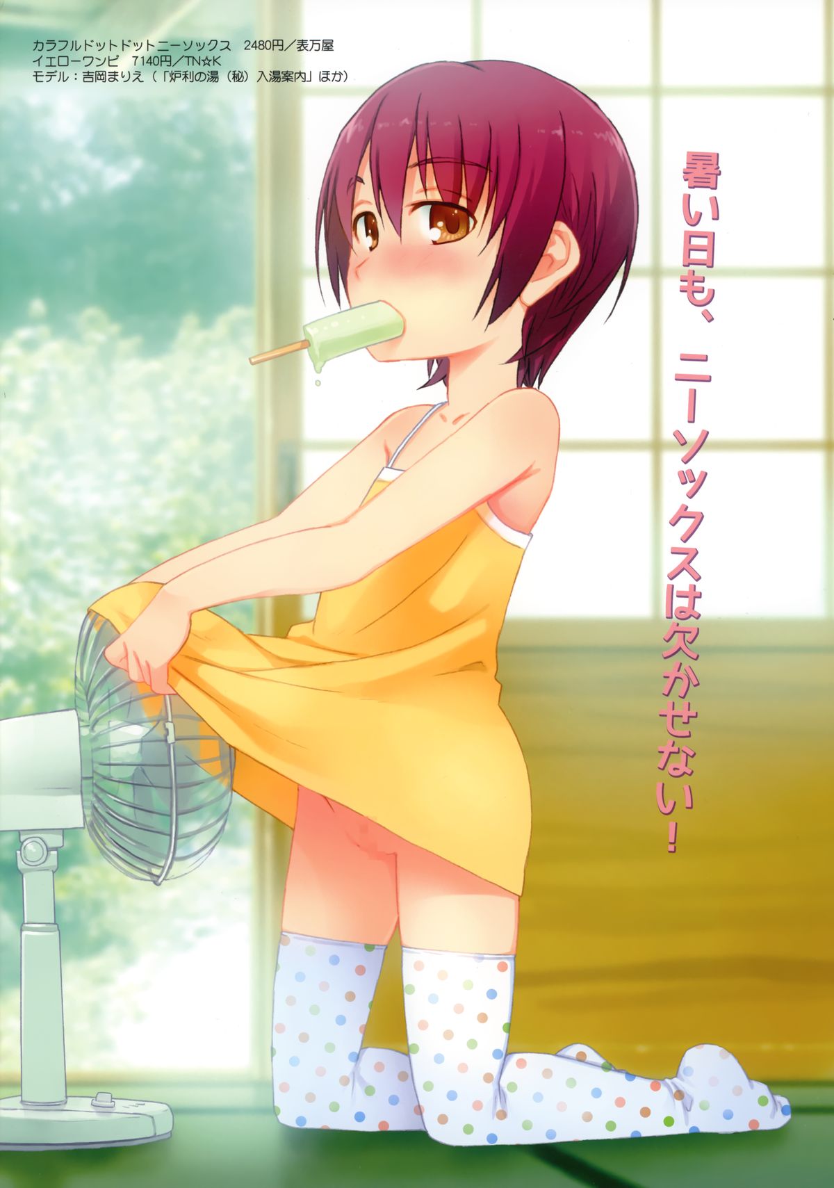 (C83) [sol-fa-soft] Overknee Socks Catalog page 7 full